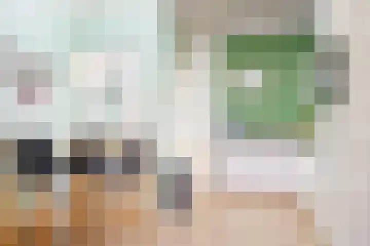 Lammenschansweg 19 Leiden thumbnail 45