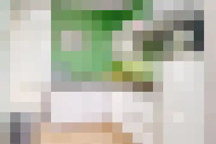 Lammenschansweg 19 Leiden thumbnail 46