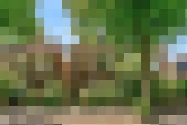 Lammenschansweg 19 Leiden thumbnail 5