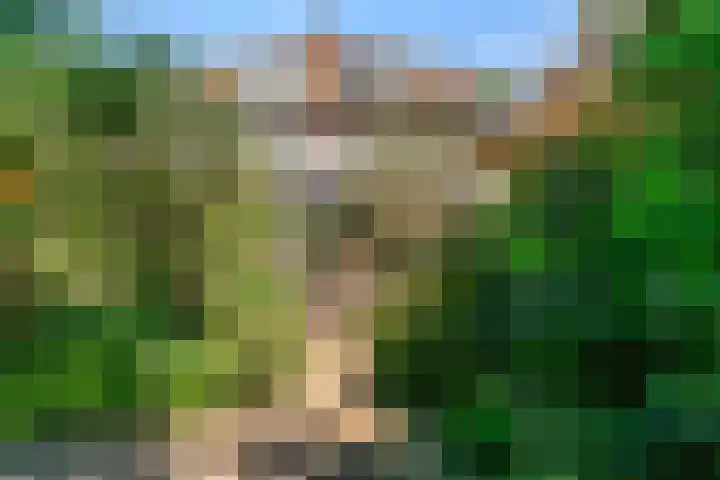 Lammenschansweg 19 Leiden thumbnail 54