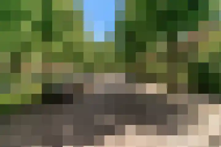 Lammenschansweg 19 Leiden thumbnail 7