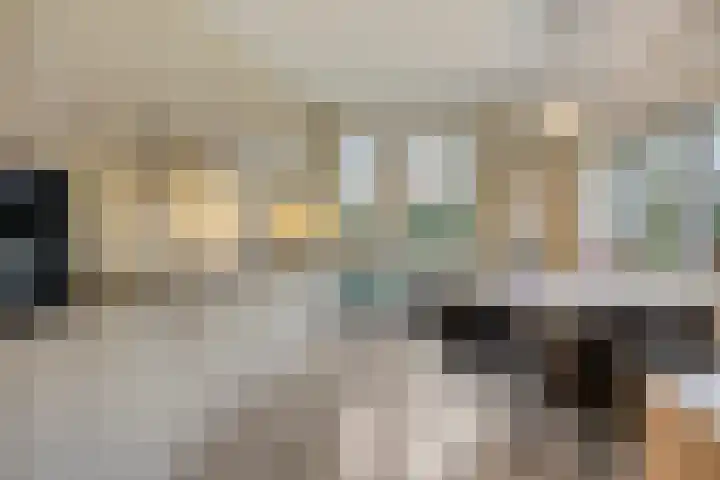 Lammersweg 21 Deventer thumbnail 11