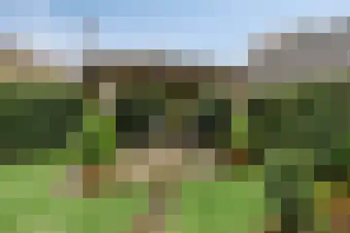 Lammersweg 21 Deventer thumbnail 32