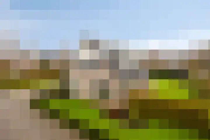 Lammersweg 21 Deventer thumbnail 40