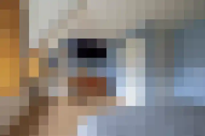 Lamoen 7 Brielle thumbnail 21
