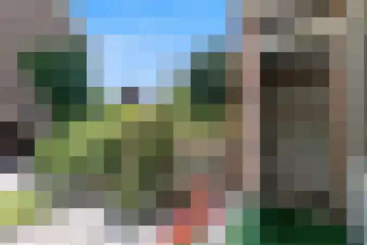 Lamoen 7 Brielle thumbnail 27