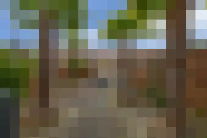 Lamoen 7 Brielle thumbnail 30