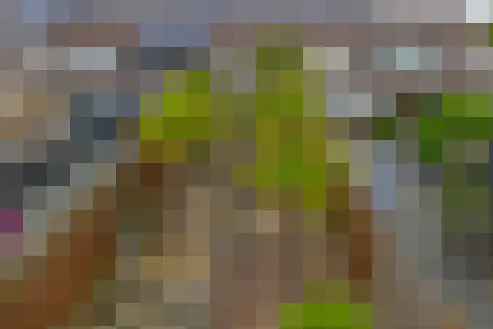 Lamoen 7 Brielle thumbnail 31