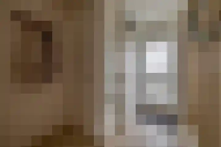 Lamoen 7 Brielle thumbnail 6