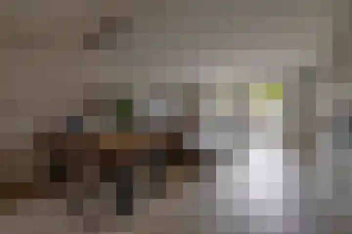Lamoen 7 Brielle thumbnail 7