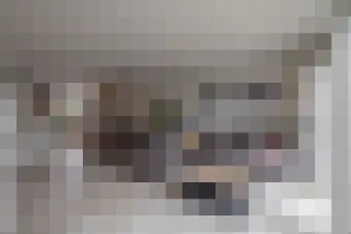 Lamoen 7 Brielle thumbnail 9