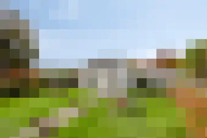 Lamperen 16 Wanroij thumbnail 10