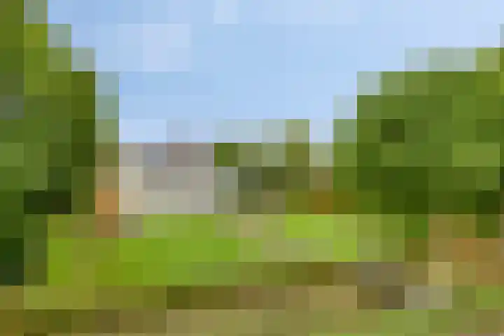 Lamperen 16 Wanroij thumbnail 12