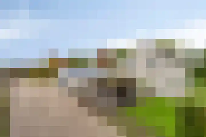 Lamperen 16 Wanroij thumbnail 13