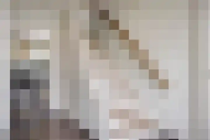 Lamperen 16 Wanroij thumbnail 15