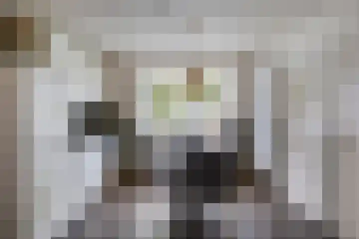 Lamperen 16 Wanroij thumbnail 22