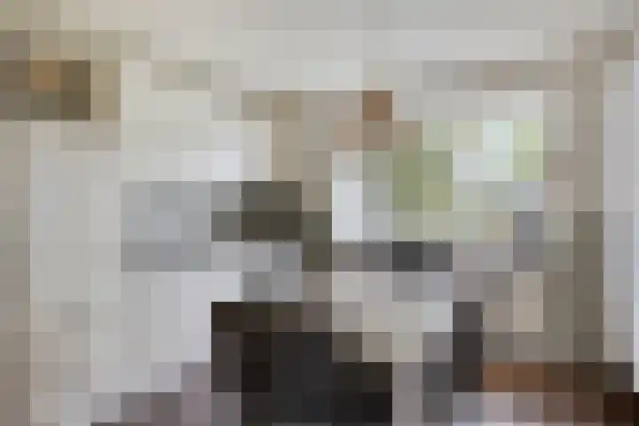 Lamperen 16 Wanroij thumbnail 23