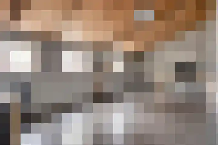 Lamperen 16 Wanroij thumbnail 36