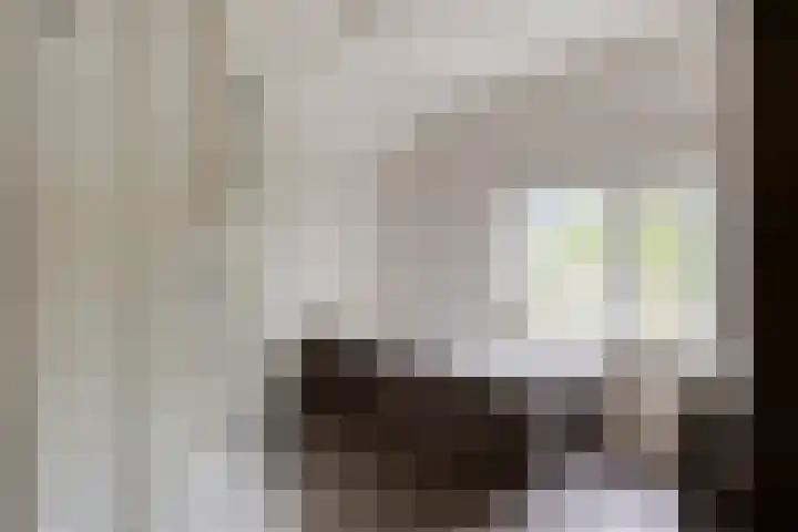 Lamperen 16 Wanroij thumbnail 46