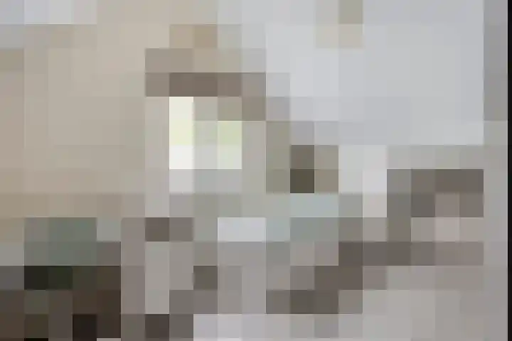 Lamperen 16 Wanroij thumbnail 49