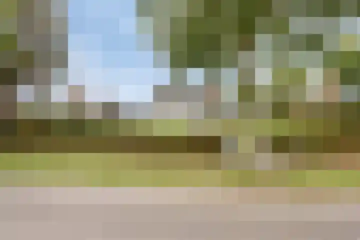Lamperen 16 Wanroij thumbnail 5