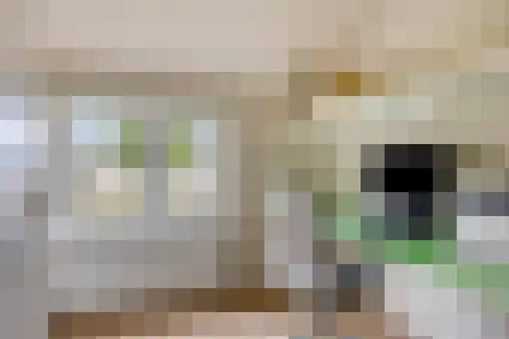 Lamperen 16 Wanroij thumbnail 52