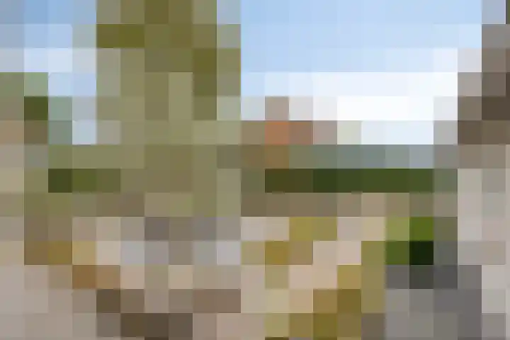 Lamperen 16 Wanroij thumbnail 55