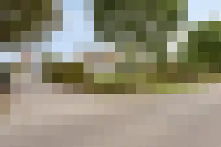 Lamperen 16 Wanroij thumbnail 6