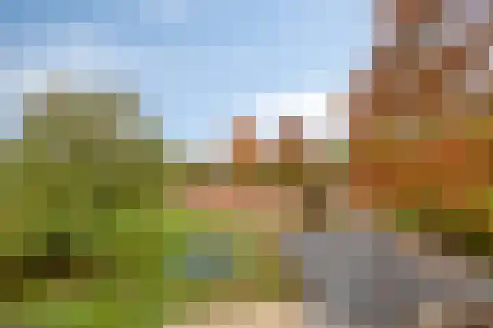 Lamperen 16 Wanroij thumbnail 66