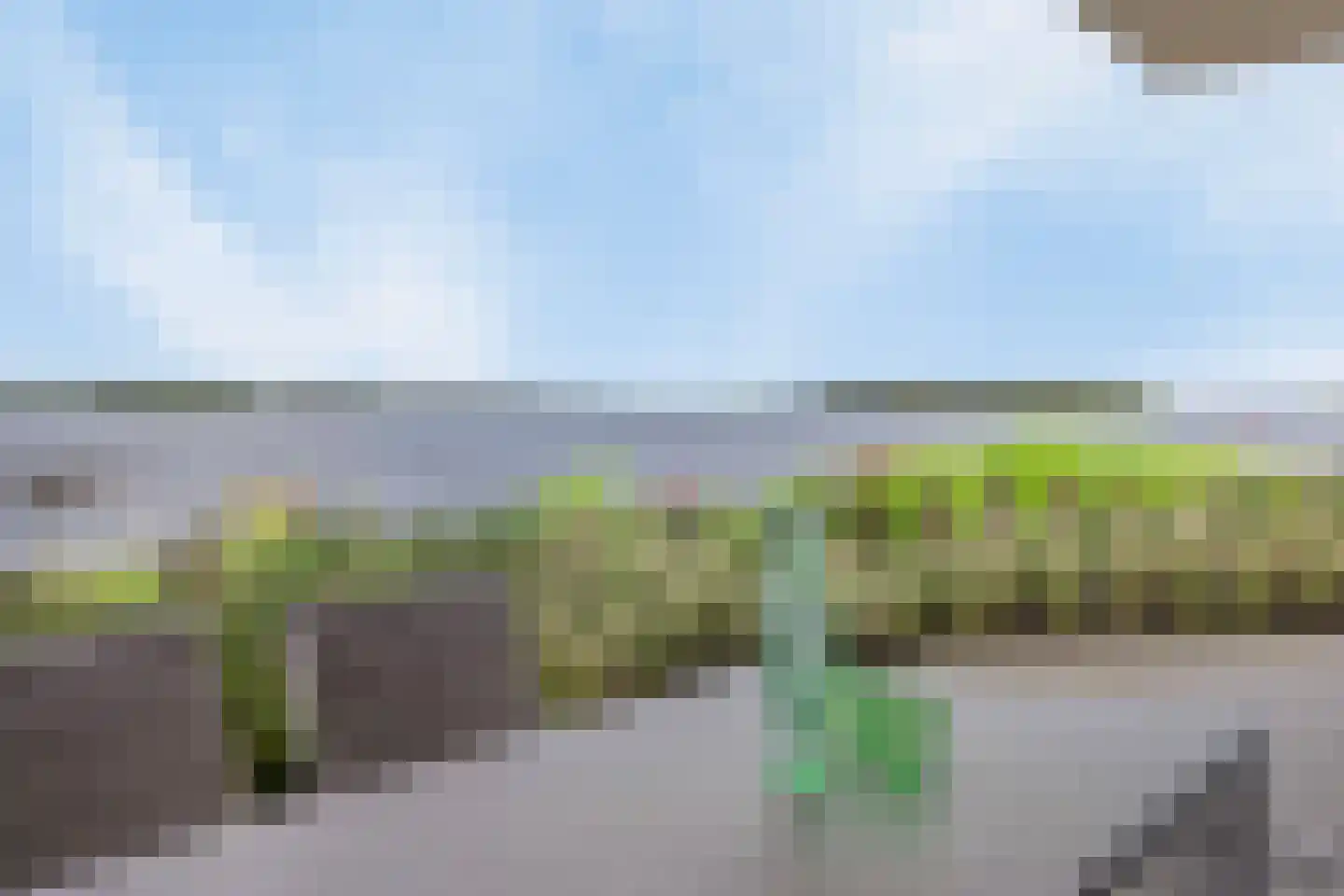 Lamsoor 39 Arnemuiden thumbnail 17
