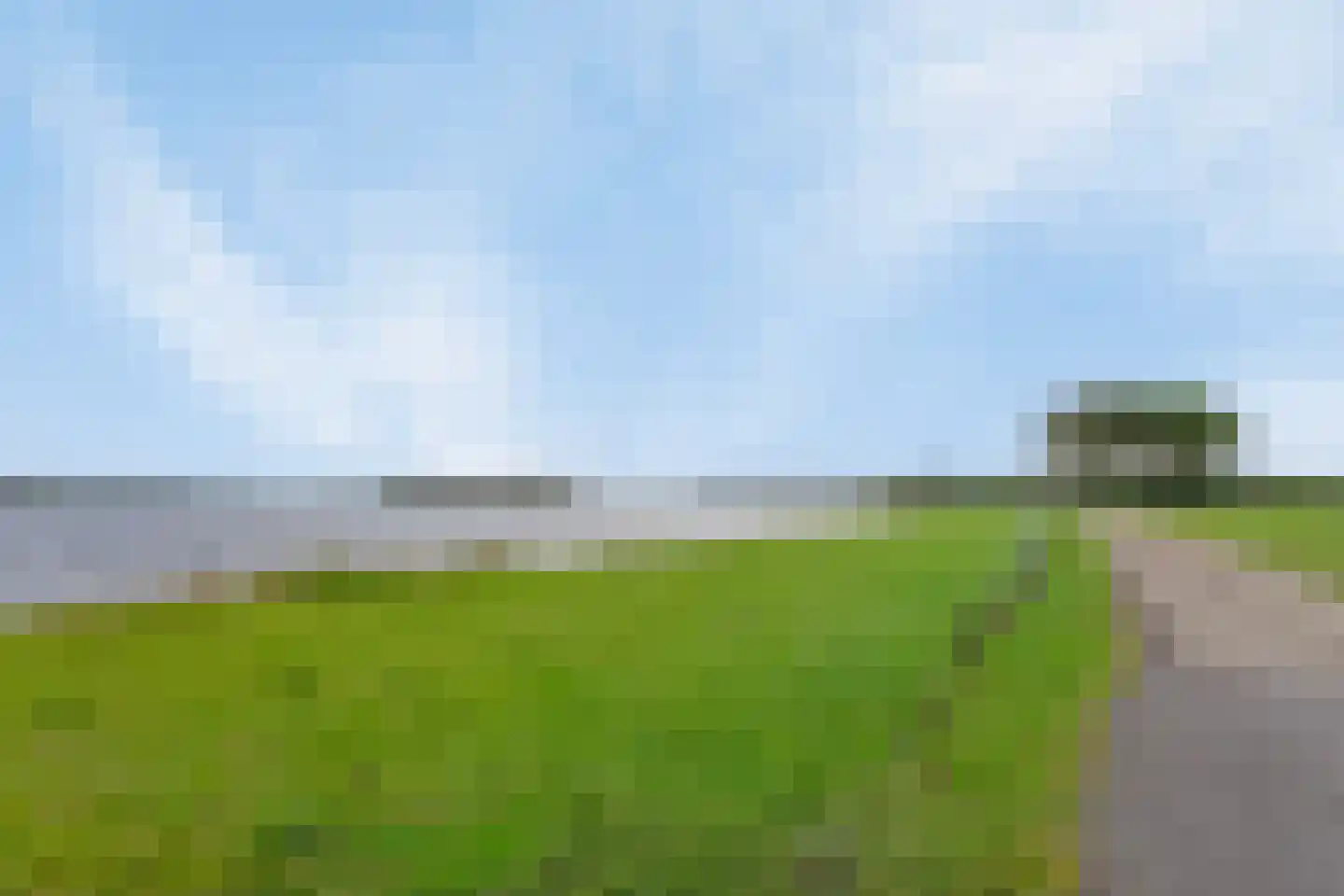 Lamsoor 39 Arnemuiden thumbnail 23