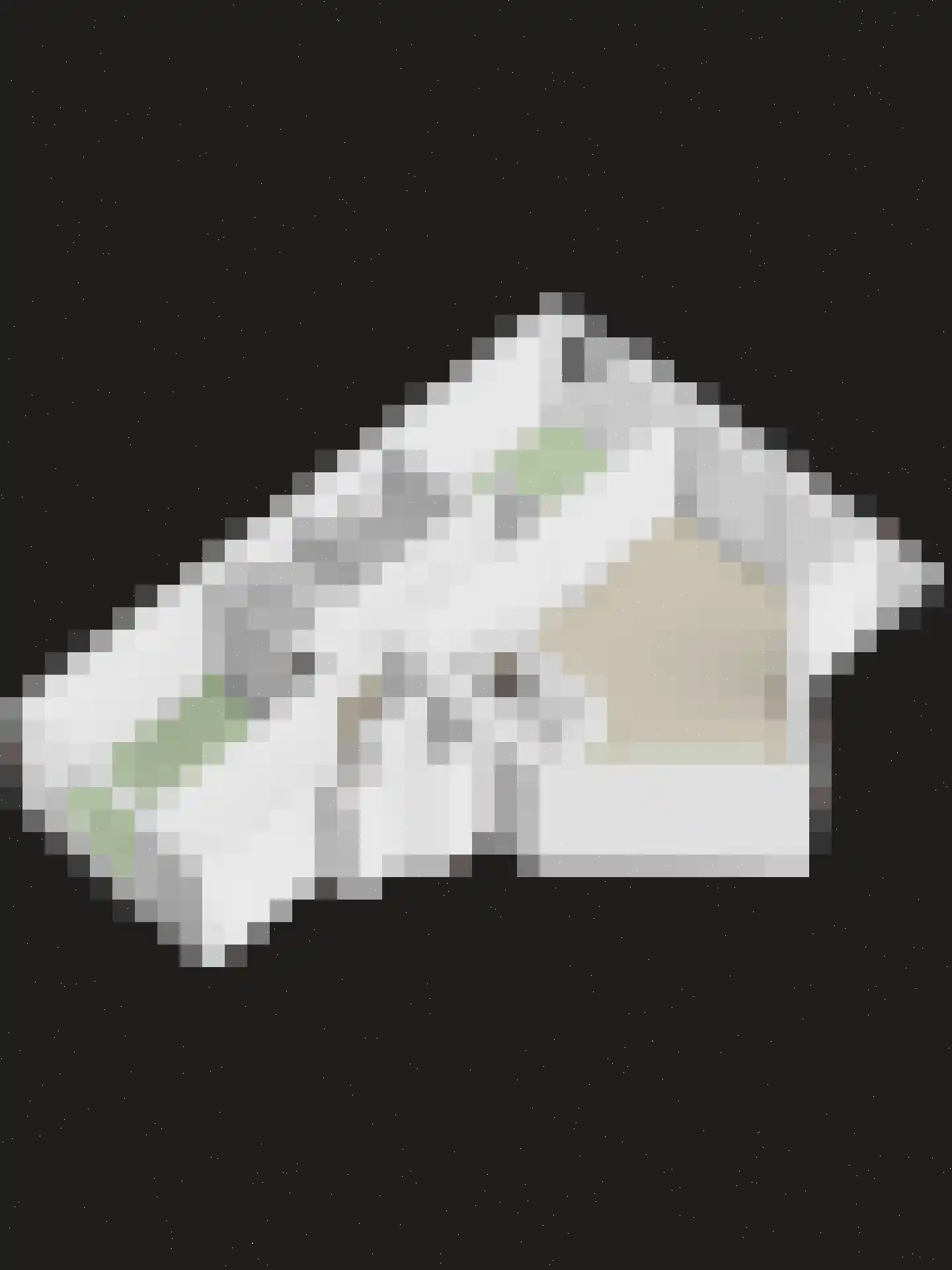 Lamsoor 39 Arnemuiden thumbnail 33