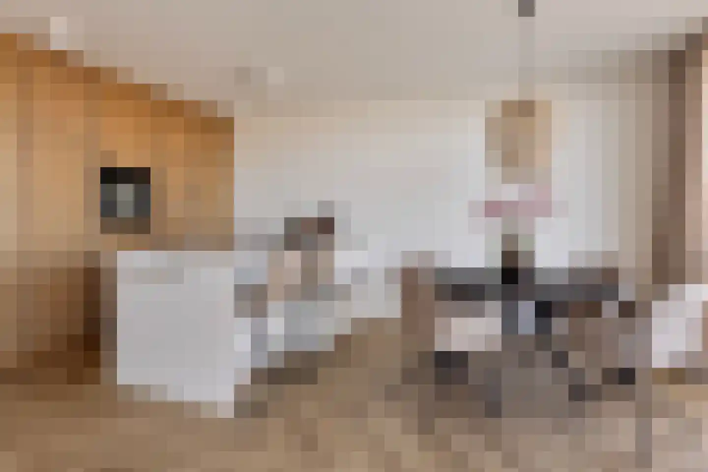 Lamsoor 43 Arnemuiden thumbnail 5
