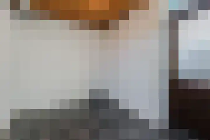 Lancasterdreef 44 Dronten thumbnail 12