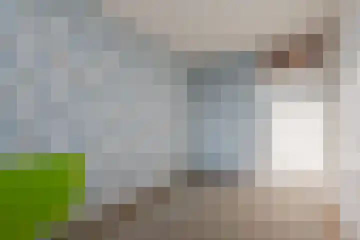 Lancasterdreef 44 Dronten thumbnail 16