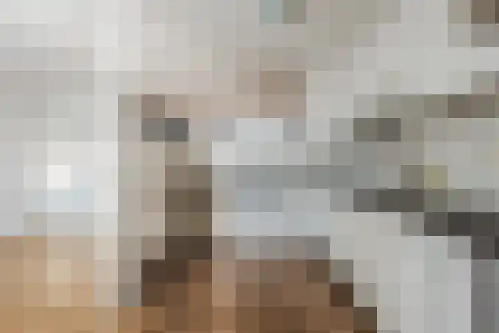 Lancasterdreef 44 Dronten thumbnail 8