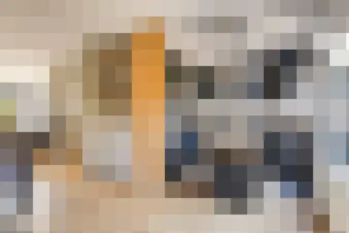 Lancasterdreef 55 Dronten thumbnail 13