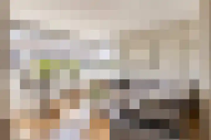 Lancasterdreef 55 Dronten foto 2