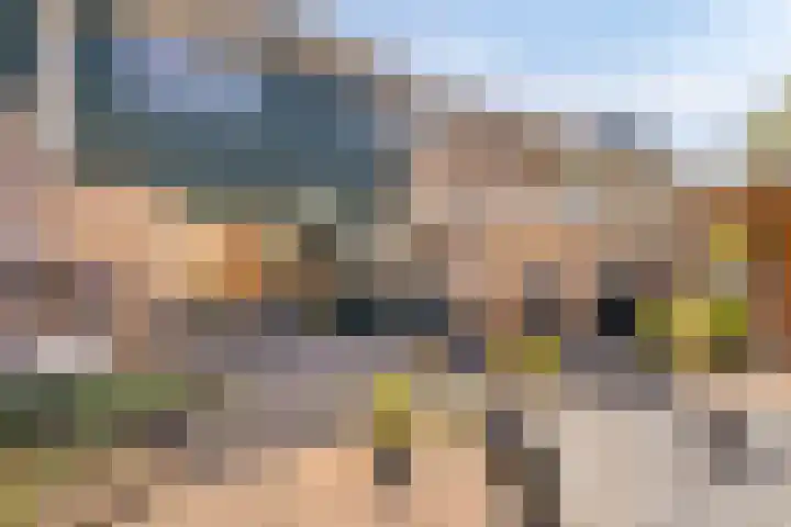 Lancasterdreef 55 Dronten thumbnail 27