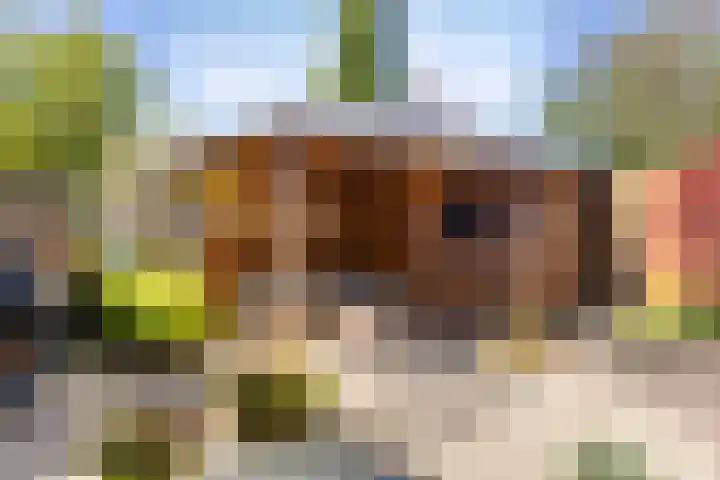 Lancasterdreef 55 Dronten thumbnail 32