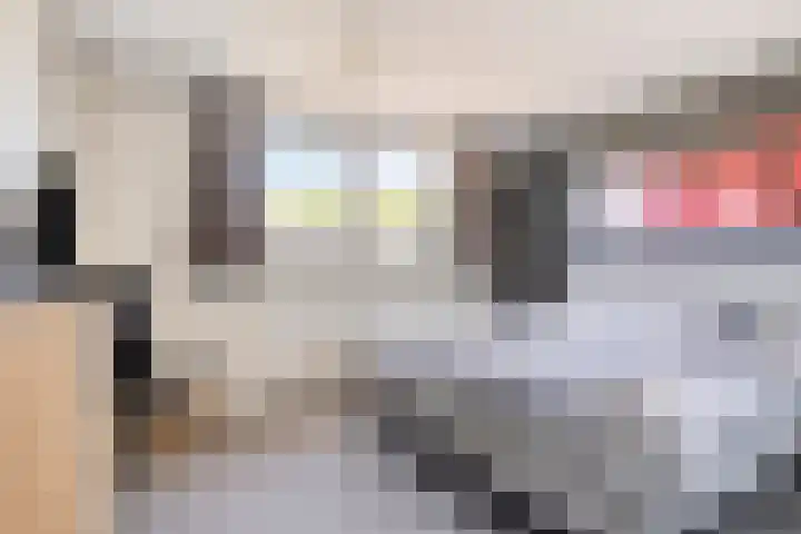 Lancasterdreef 55 Dronten thumbnail 4