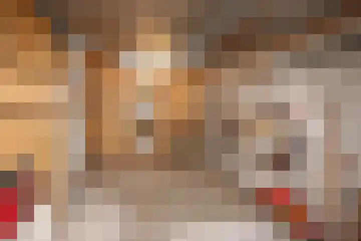 Lancasterdreef 83 Dronten thumbnail 31