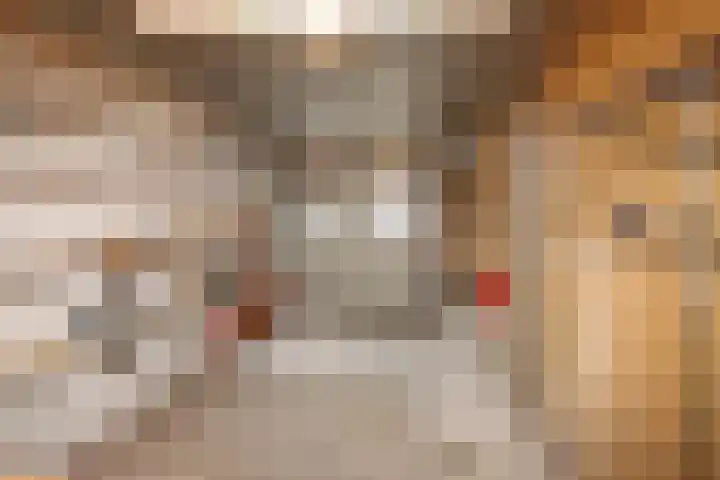 Lancasterdreef 83 Dronten thumbnail 32