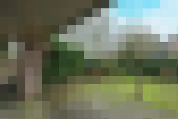 Lancasterdreef 83 Dronten thumbnail 36