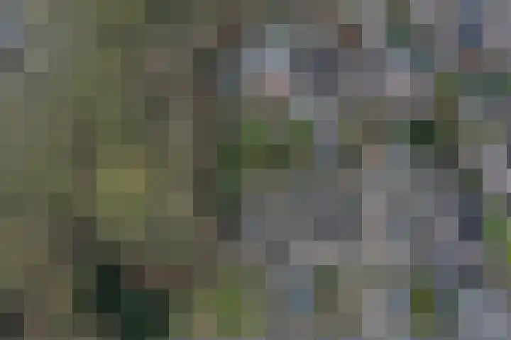 Lancasterdreef 83 Dronten thumbnail 37