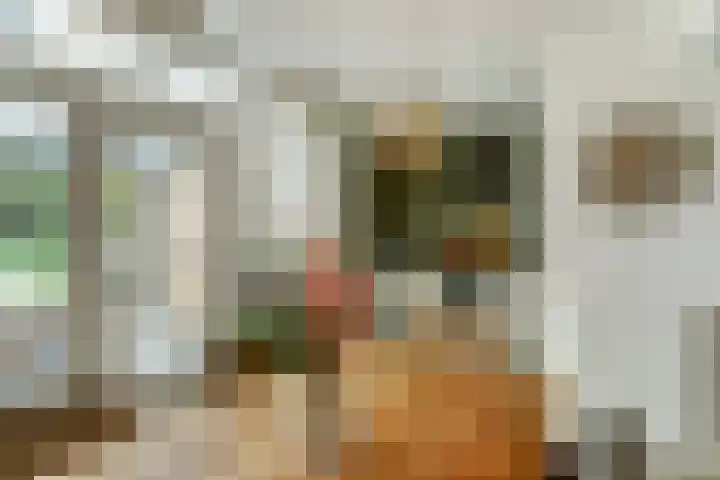 Lanceloetstraat 6 Eindhoven thumbnail 15