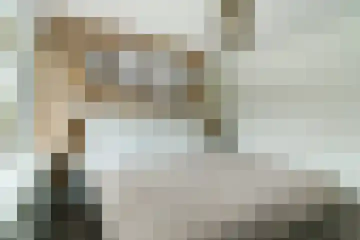 Lanceloetstraat 6 Eindhoven thumbnail 25