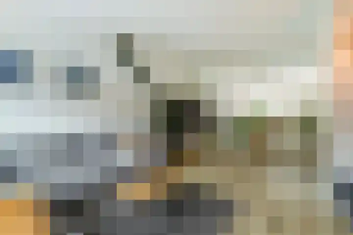 Lanceloetstraat 6 Eindhoven thumbnail 8