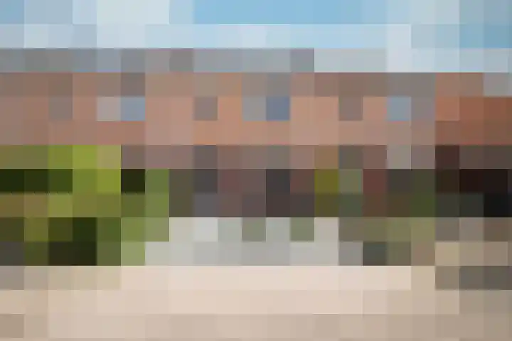 Landauer 24 Hasselt thumbnail 10