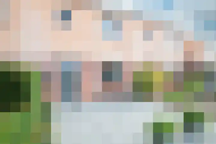 Landauer 24 Hasselt thumbnail 12
